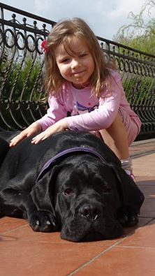Maciek Cane Corso przesyła całuski!!!